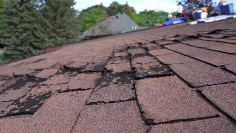 Best Gutter Installation and Repair  in Rathdrum, ID