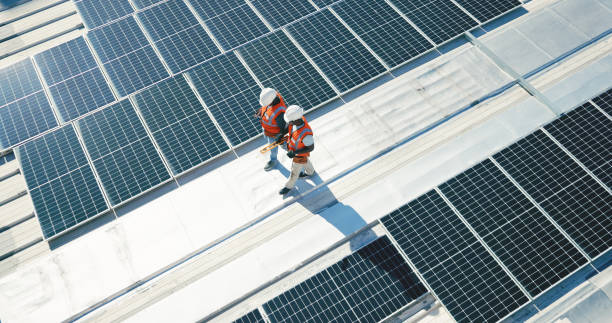 Best Roof Moss and Algae Removal  in Rathdrum, ID