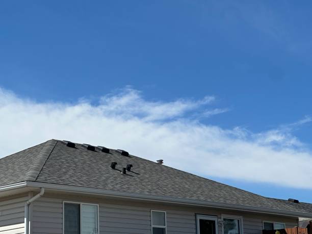 Best Steel Roofing  in Rathdrum, ID